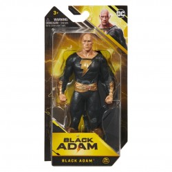 Black Adam 6-Inch Action Figure Asst