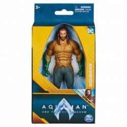 DC Comics 6-Inch Aquaman Action Figure