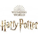 Wizarding World